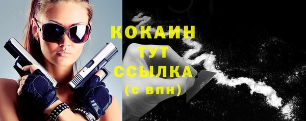 бошки Белокуриха