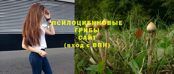 кокс Билибино