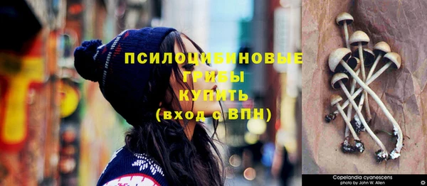 крисы Белоозёрский