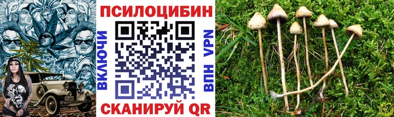 Галлюциногенные грибы Magic Shrooms  Туймазы 